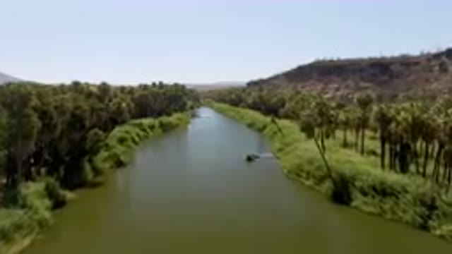 SAN IGNACIO BCS MEXICO-2023: River That Is Running Through A Forest