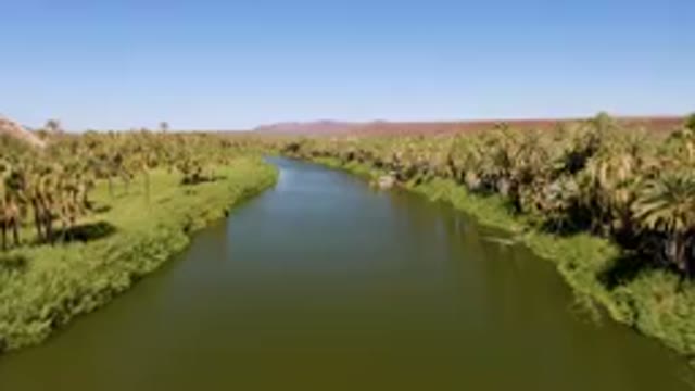SAN IGNACIO BCS MEXICO-2023: River With Palm Trees And A Boat