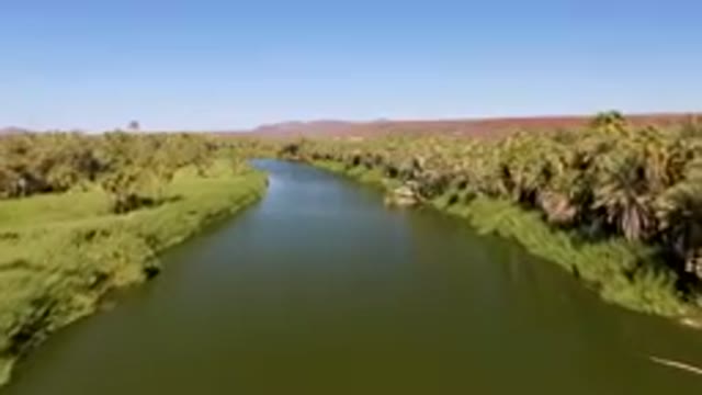SAN IGNACIO BCS MEXICO-2023: River With Palm Trees And A Boat