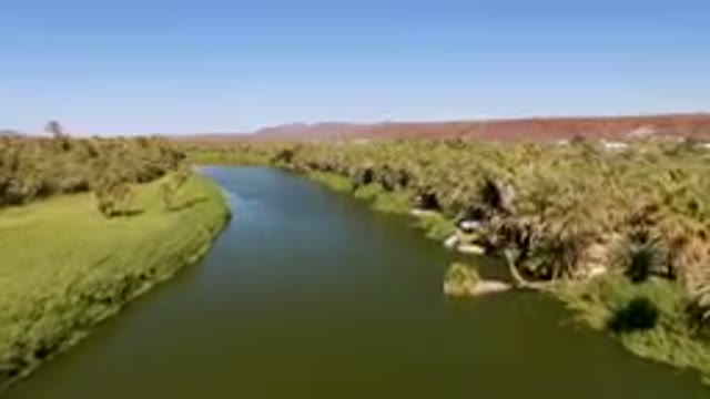 SAN IGNACIO BCS MEXICO-2023: River With A Boat In It Surrounded By Palm Trees