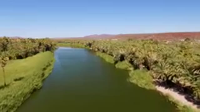 SAN IGNACIO BCS MEXICO-2023: River With A Bunch Of Trees In The Background
