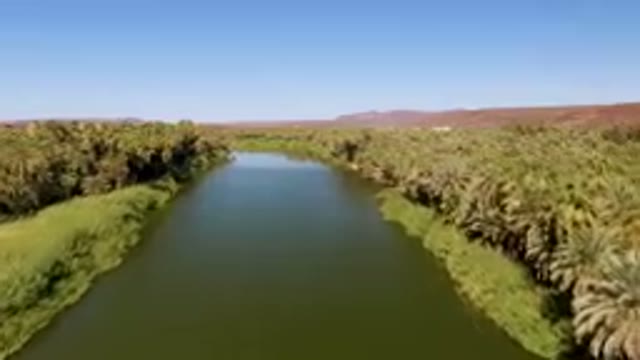 SAN IGNACIO BCS MEXICO-2023: River With Palm Trees And A Blue Sky