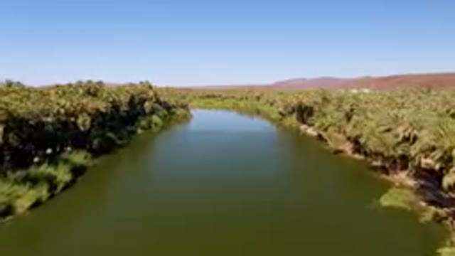 SAN IGNACIO BCS MEXICO-2023: River With Palm Trees And A Clear Sky