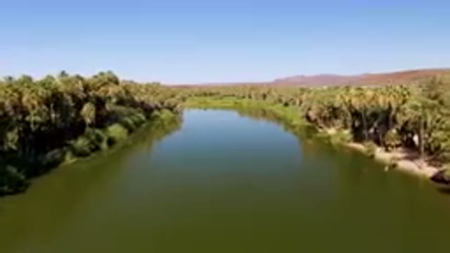 SAN IGNACIO BCS MEXICO-2023: River With Palm Trees And A Clear Sky