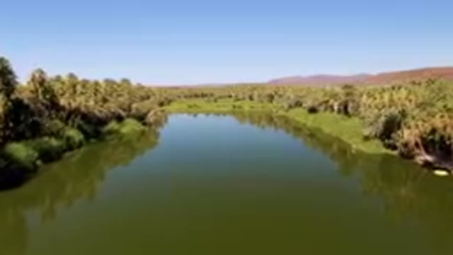 SAN IGNACIO BCS MEXICO-2023: River With A Boat In It And Palm Trees