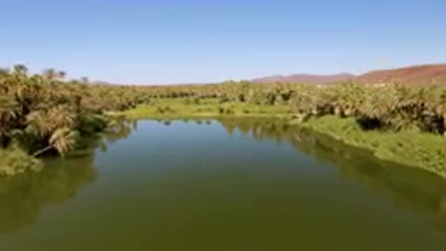 SAN IGNACIO BCS MEXICO-2023: River With Palm Trees And A Blue Sky