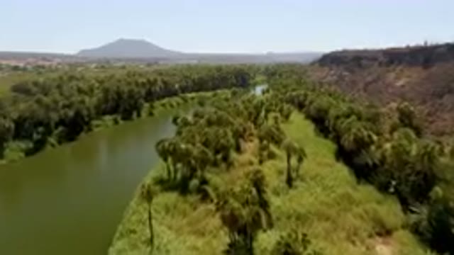 SAN IGNACIO BCS MEXICO-2023: River Running Through A Lush Green Forest