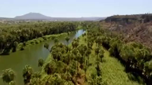 SAN IGNACIO BCS MEXICO-2023: River Running Through A Lush Green Valley