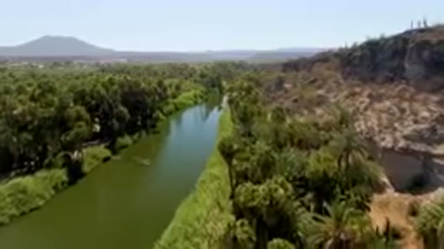 SAN IGNACIO BCS MEXICO-2023: River Running Through A Lush Green Forest
