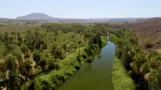 SAN IGNACIO BCS MEXICO-2023: River Running Through A Lush Green Forest