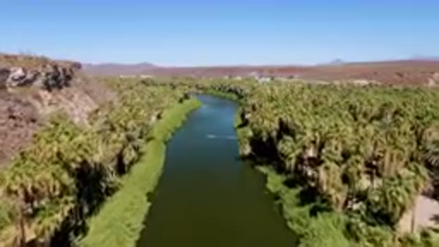 SAN IGNACIO BCS MEXICO-2023: River Surrounded By Palm Trees And Mountains