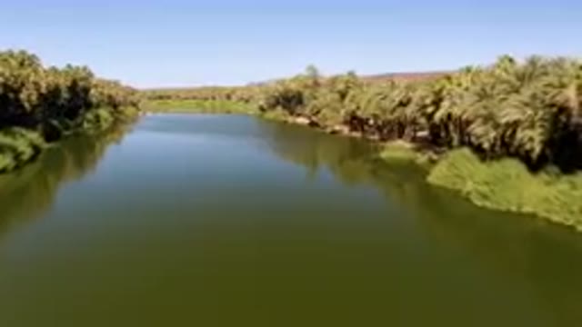 SAN IGNACIO BCS MEXICO-2023: River With Palm Trees And A Clear Sky