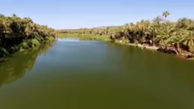 SAN IGNACIO BCS MEXICO-2023: River With Palm Trees And A Clear Sky