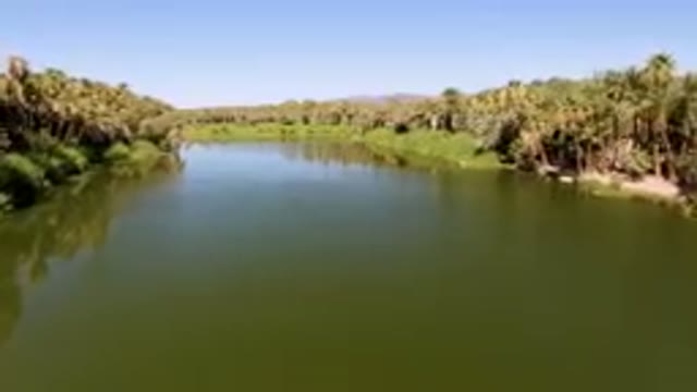 SAN IGNACIO BCS MEXICO-2023: River With Palm Trees And A Clear Sky
