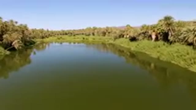 SAN IGNACIO BCS MEXICO-2023: River With Palm Trees And A Clear Sky