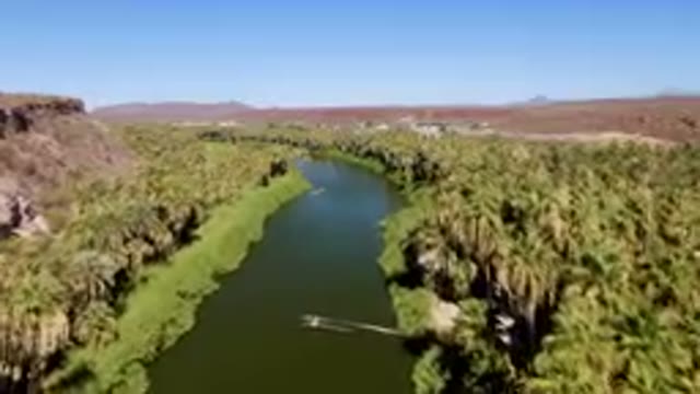 SAN IGNACIO BCS MEXICO-2023: River With A Boat In It Surrounded By Palm Trees