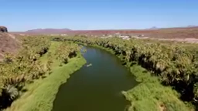 SAN IGNACIO BCS MEXICO-2023: River Running Through A Lush Green Valley