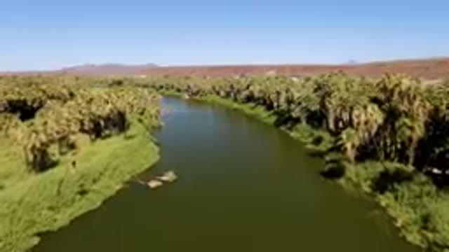 SAN IGNACIO BCS MEXICO-2023: River With Palm Trees And A Boat