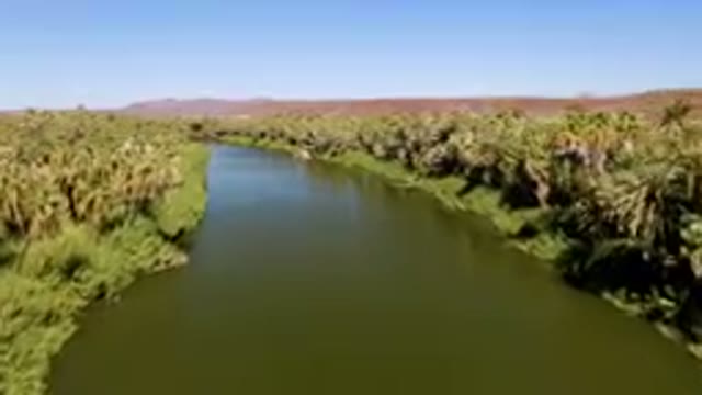 SAN IGNACIO BCS MEXICO-2023: River With Palm Trees And Mountains In The