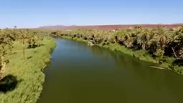 SAN IGNACIO BCS MEXICO-2023: River With Palm Trees And A Boat
