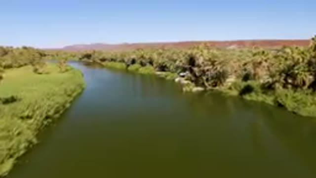SAN IGNACIO BCS MEXICO-2023: River With Palm Trees And A Boat