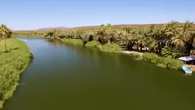 SAN IGNACIO BCS MEXICO-2023: River With Palm Trees And A Clear Sky