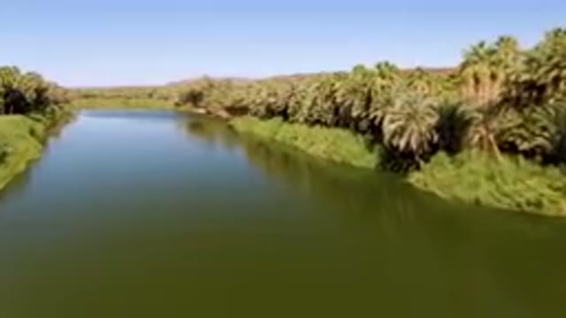 SAN IGNACIO BCS MEXICO-2023: River With Palm Trees And A Clear Sky