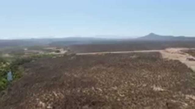 SAN IGNACIO BCS MEXICO-2023: Dirt Road Winding Through the Desert