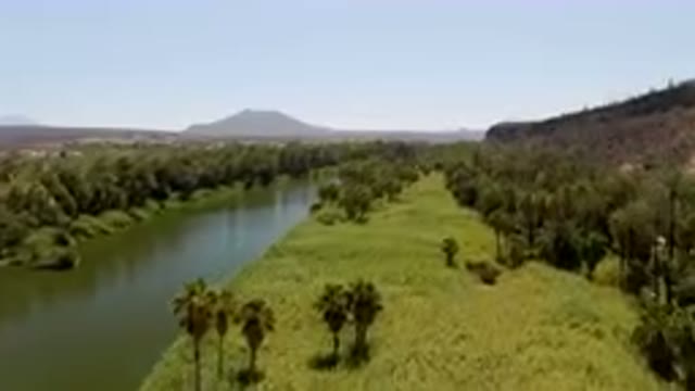 SAN IGNACIO BCS MEXICO-2023: River Running Through A Lush Green Field Next To A