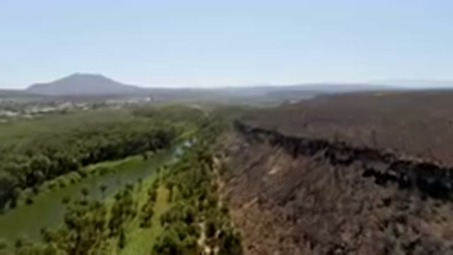 SAN IGNACIO BCS MEXICO-2023: River Running Through A Forest Filled With Trees