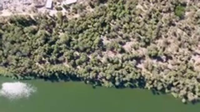 SAN IGNACIO BCS MEXICO-2023: Aerial Boat In A River Surrounded By Trees