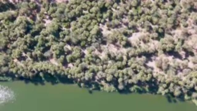 SAN IGNACIO BCS MEXICO-2023: Aerial Boat In A River Surrounded By Trees