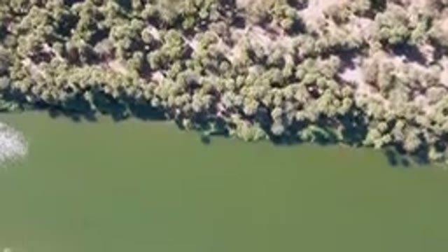 SAN IGNACIO BCS MEXICO-2023: Aerial Boat Floating In A River Surrounded By Trees
