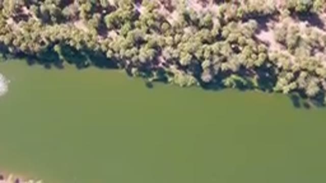SAN IGNACIO BCS MEXICO-2023: Aerial Boat In A River Surrounded By Trees