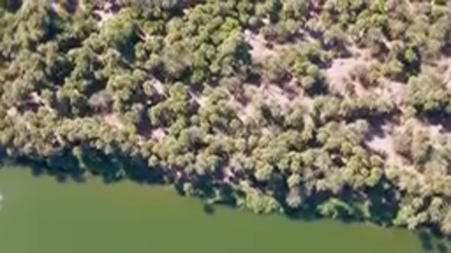 SAN IGNACIO BCS MEXICO-2023: Aerial River And A Forest With A Boat