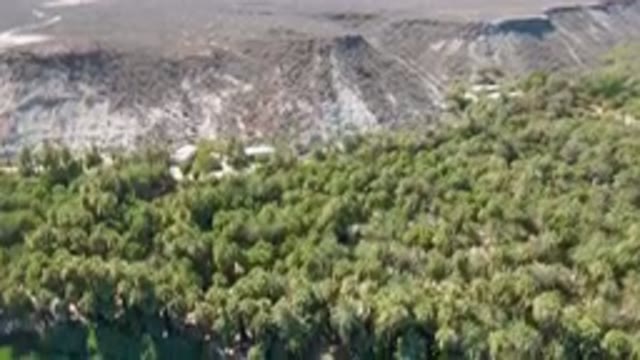 SAN IGNACIO BCS MEXICO-2023: Area Of Trees And Water With A Mountain In The Background