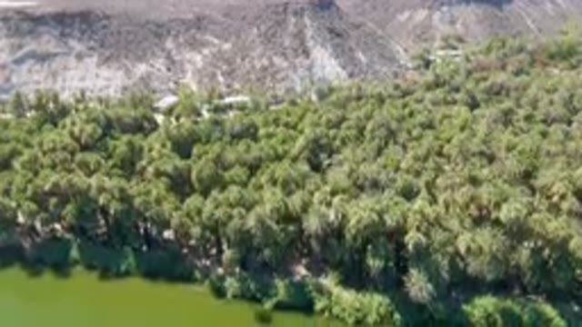 SAN IGNACIO BCS MEXICO-2023: Area Of Trees And Water With A Mountain In The Background