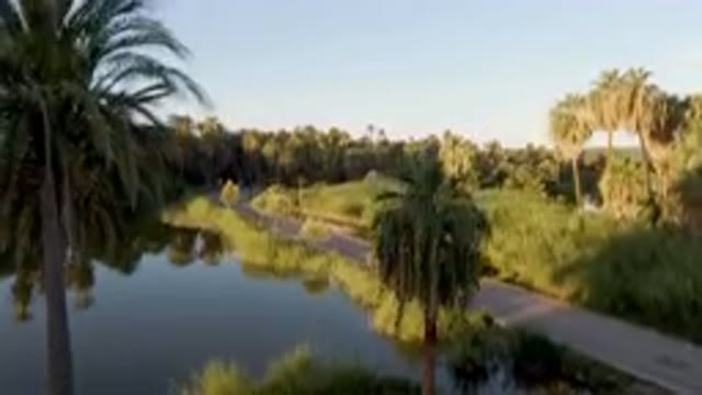 SAN IGNACIO BCS MEXICO-2023: Trees Are Growing Along The Side Of A River With A