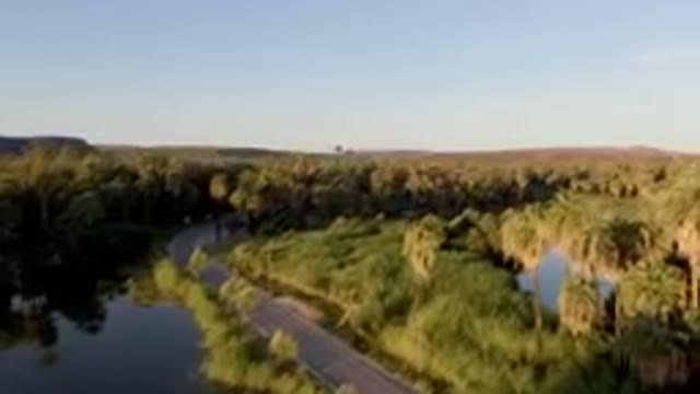 SAN IGNACIO BCS MEXICO-2023: River And A Road In A Desert Oasis