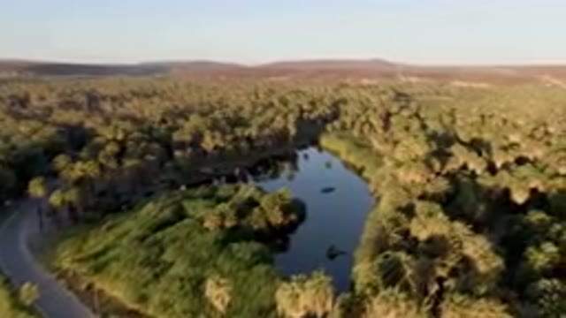 SAN IGNACIO BCS MEXICO-2023: River Surrounded By Palm Trees And A Road