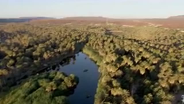 SAN IGNACIO BCS MEXICO-2023: River Surrounded By Palm Trees In A Desert