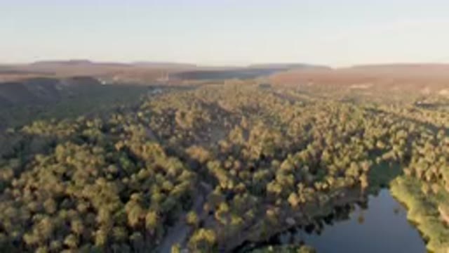 SAN IGNACIO BCS MEXICO-2023: River Surrounded By Trees And Mountains