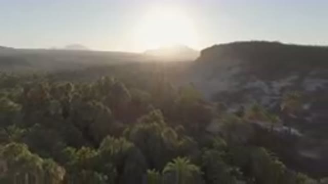 SAN IGNACIO BCS MEXICO-2023: Valley With Palm Trees And A Mountain In The