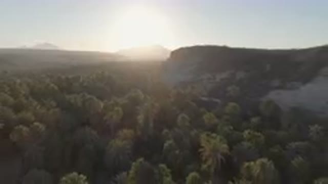 SAN IGNACIO BCS MEXICO-2023: Valley With Palm Trees And A Mountain In The
