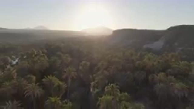 SAN IGNACIO BCS MEXICO-2023: River Surrounded By Palm Trees And Mountains