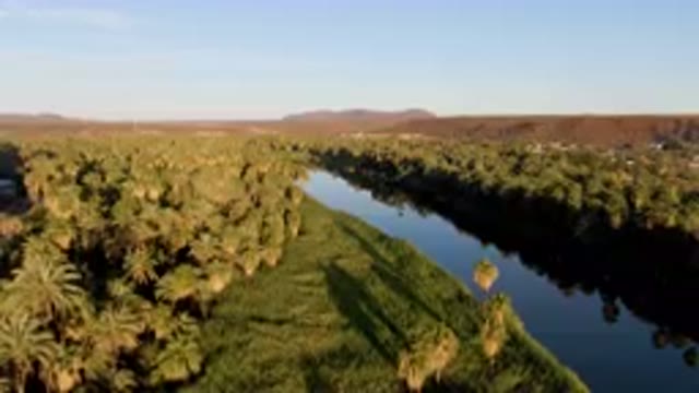 SAN IGNACIO BCS MEXICO-2023: River With Palm Trees And A Town In The Distance