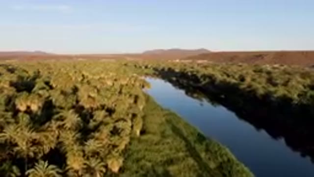 SAN IGNACIO BCS MEXICO-2023: River Running Through A Lush Green Forest