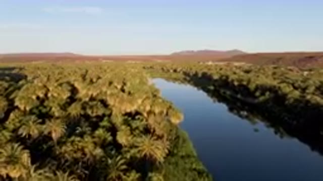 SAN IGNACIO BCS MEXICO-2023: River With Palm Trees And A Mountain In The