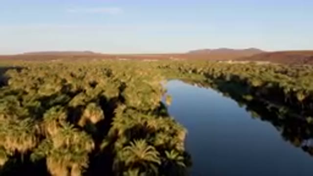 SAN IGNACIO BCS MEXICO-2023: River Surrounded By Palm Trees In A Desert