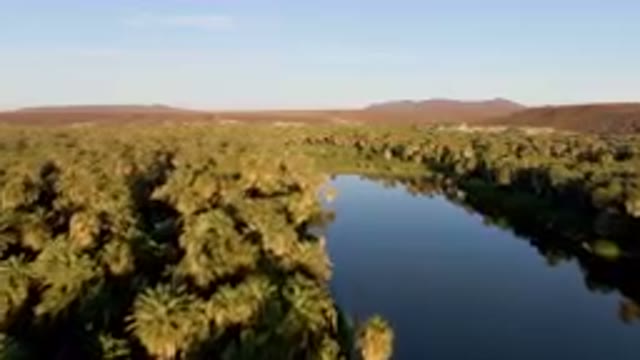 SAN IGNACIO BCS MEXICO-2023: River Surrounded By Palm Trees And Mountains